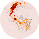 Arctic Fires Summer 2019 - fine particulates